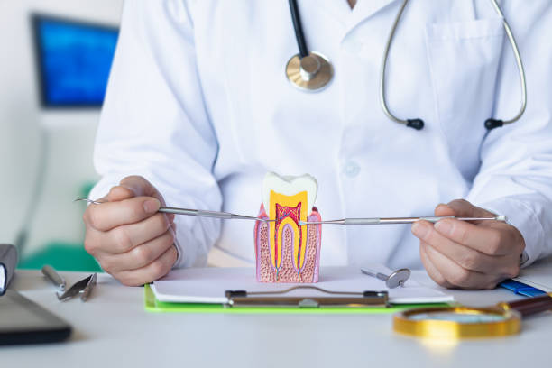 Best Urgent Dental Care for Toothaches in Summersville, WV